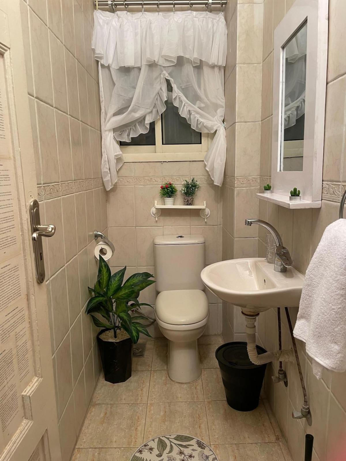 Afro In Maadi In Sharing Apartment Cairo